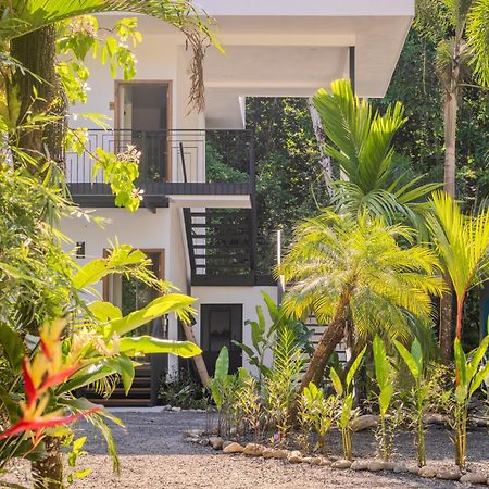 Ojochal Gardens Aparthotel Εξωτερικό φωτογραφία